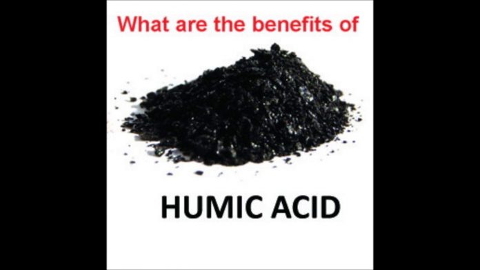 15 Humic Acid Uses & Benefits