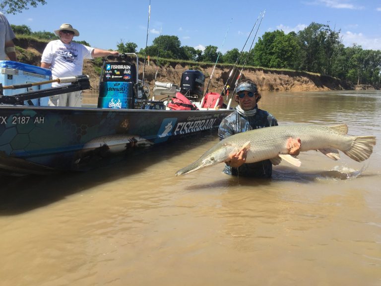 4 BEST FRESHWATER FISH FOR ALLIGATOR GAR BAIT