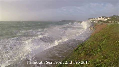 Best Falmouth Ocean side Encounters