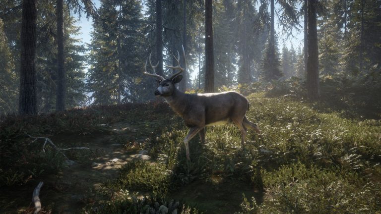 Best Hunting Game For Xbox One