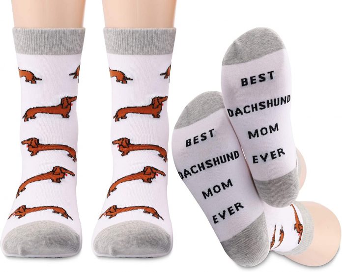 Best Socks For Dogs