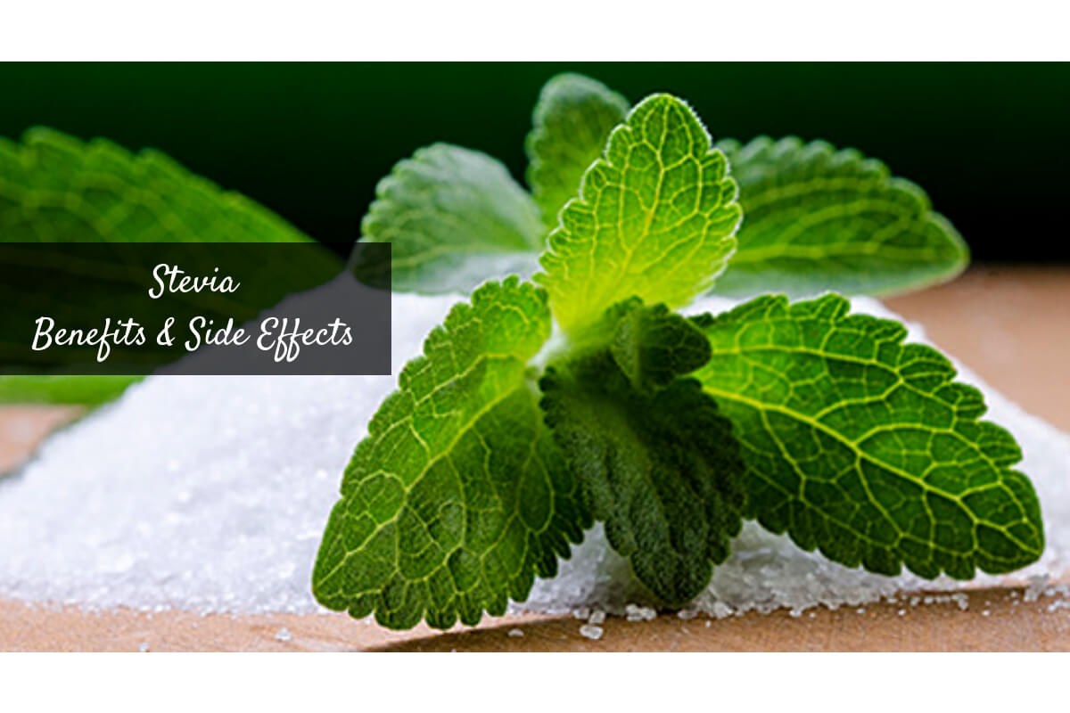 Is Stevia Safe or Healthy Is Stevia Safe or Healthy