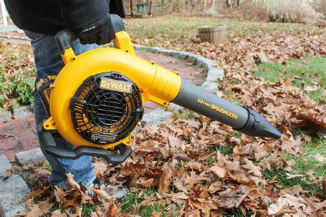 The Best Cordless Leaf Blowers