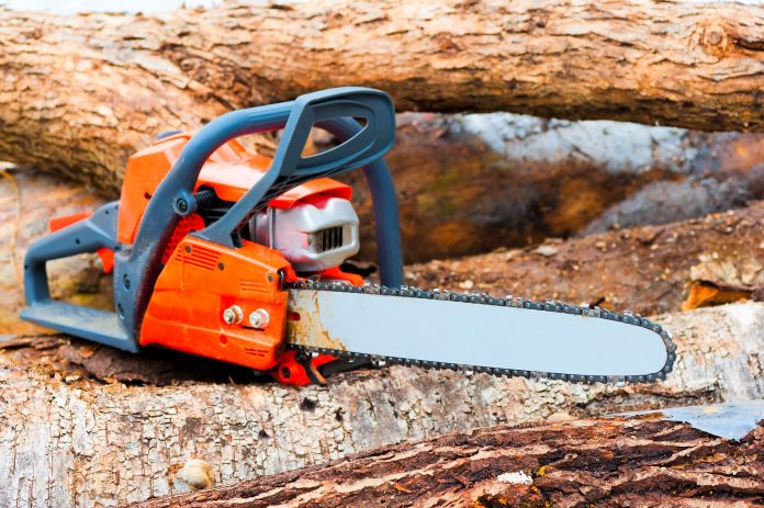 The Best Electric Chainsaws