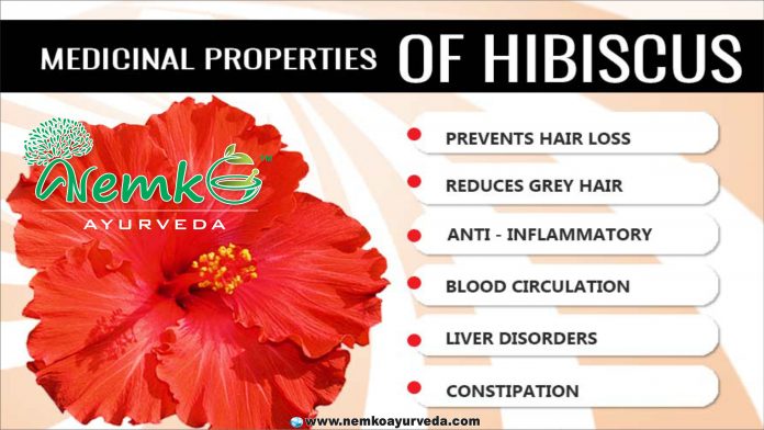 The-Surprising-Health-Benefits-of-Hibiscus-scaled
