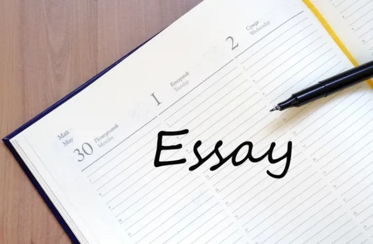 Write My Essay