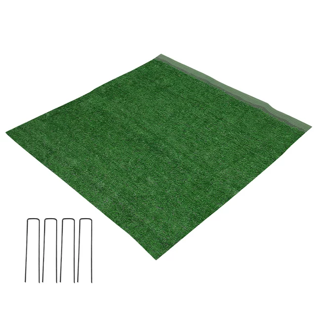 Green Carpet Dreams