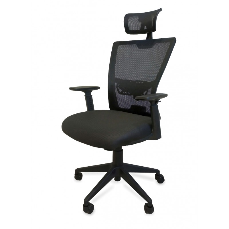 Ergonomic Chairs