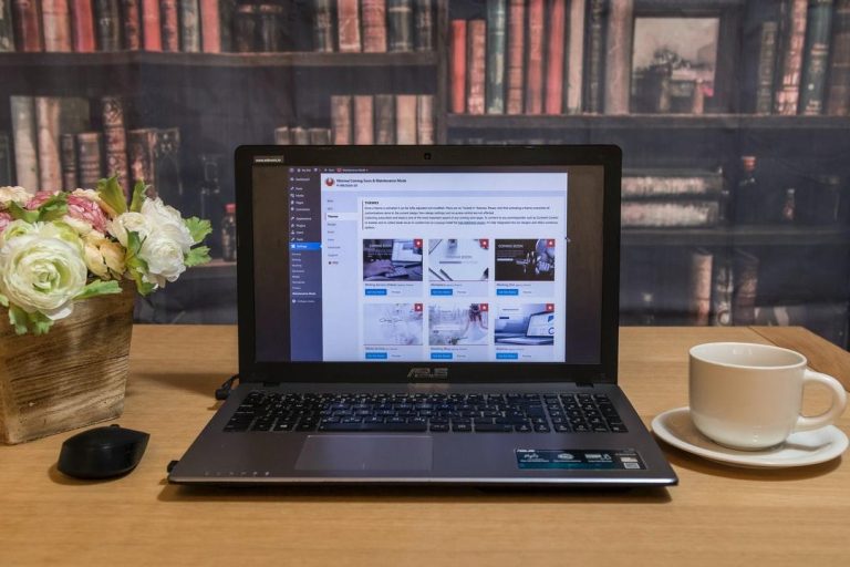 Online Visibility