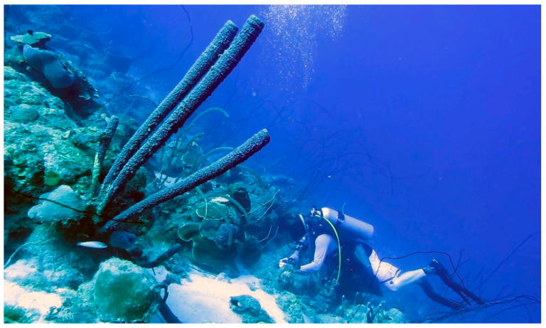 B&Z Construction for Commercial Diving