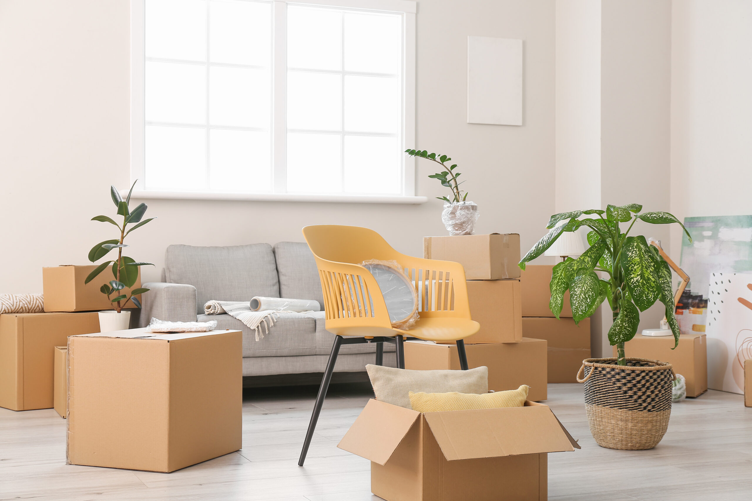 moving to a new home tips