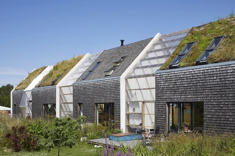 Enhancing Homes with Roofing and Velux Window Specialists