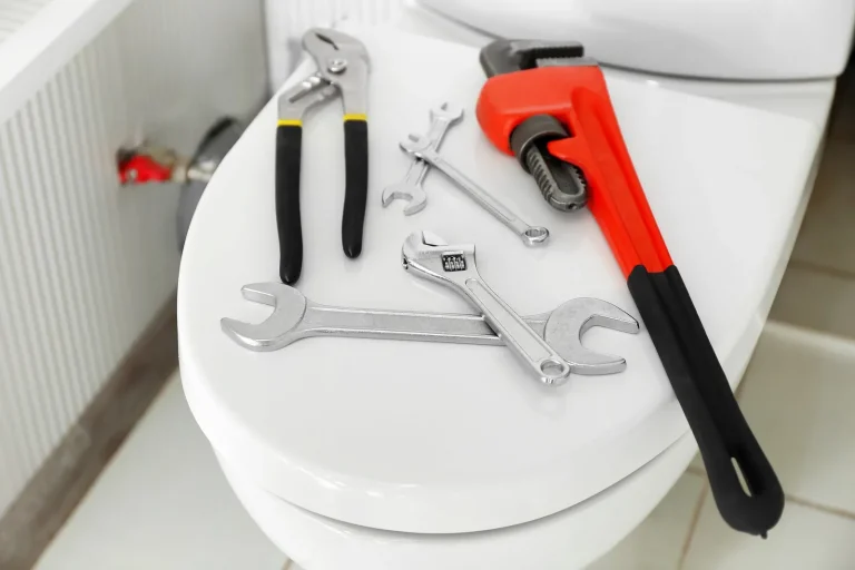 Plumbing Maintenance Matters