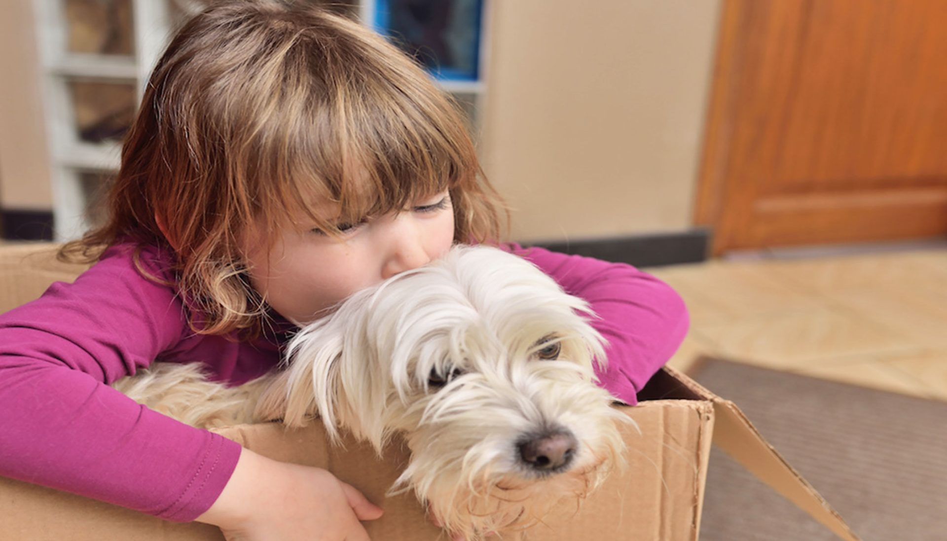 Relocating Across States or Countries With Pets