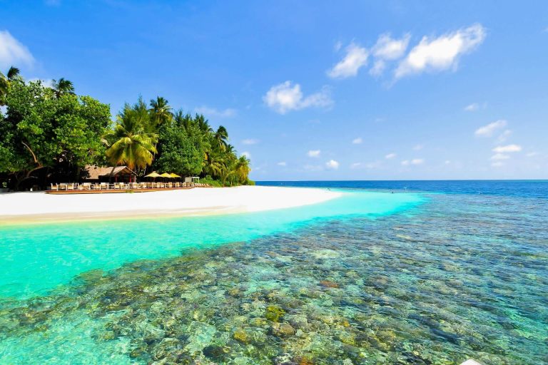 Beste Reisezeit Malediven bietet Sonne, Beste Reisezeit Japan bietet Blüten