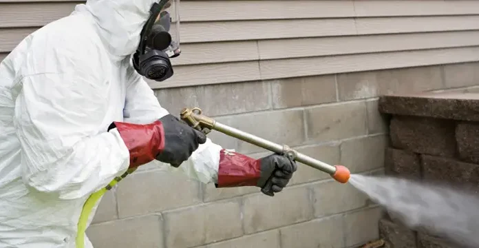 Pest Control in Toronto: Beyond Exterminating — The Hidden Infrastructure of Urban Pest Management