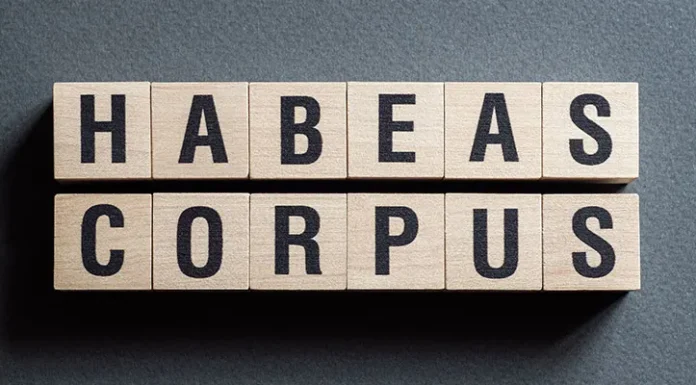 How Habeas Corpus Can Challenge Unlawful Immigration Detention