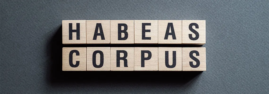 88449-habeas-corpus-word-concept-on-cubes-2d0734a6