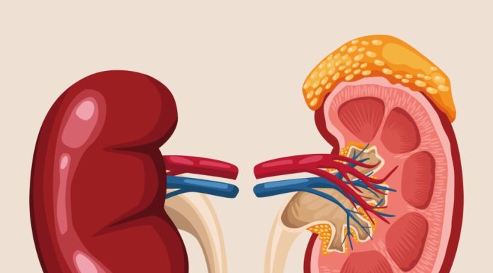 How to Improve Kidney Function to Avoid Dialysis? Improve Kidney Function