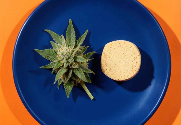 CBD (29)_11zon