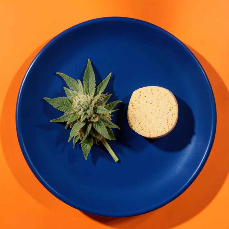 CBD (29)_11zon