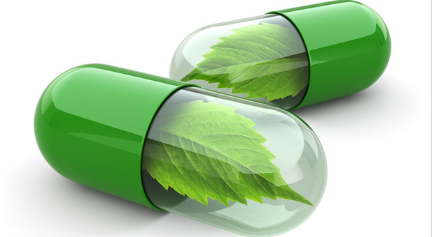 milestone_enables_medicine_to_be_produced_in_plants